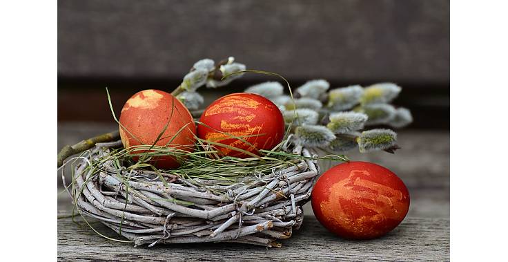 blog_clanek_detail_tmb_319