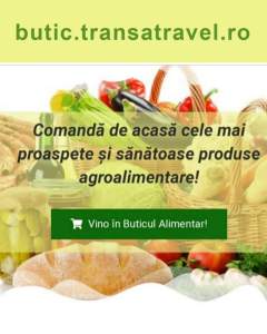 butic transatravel ro
